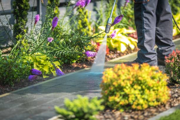 Best Driveway Pressure Washing  in Barrington, IL