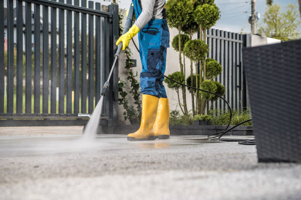 Best Pool Deck Cleaning  in Barrington, IL